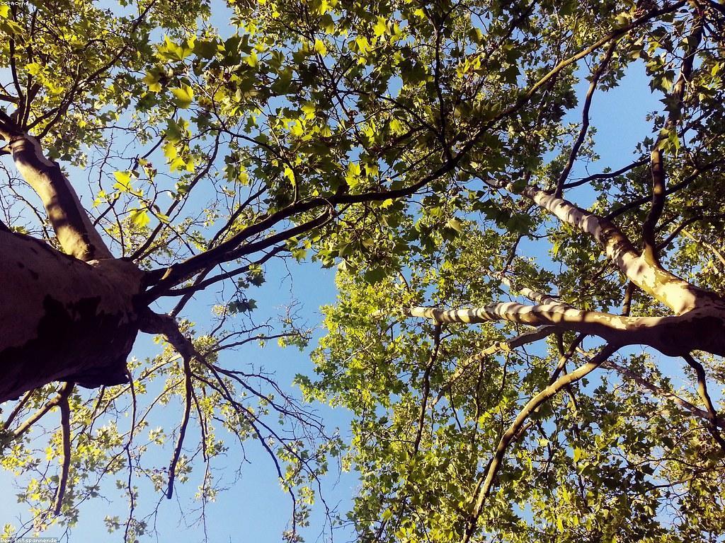 ការបង្កើតកម្រិតស្លុត: របៀបដើម្បីប្រើប្រាស់សំរាប់ការប្រឹងប្រែង